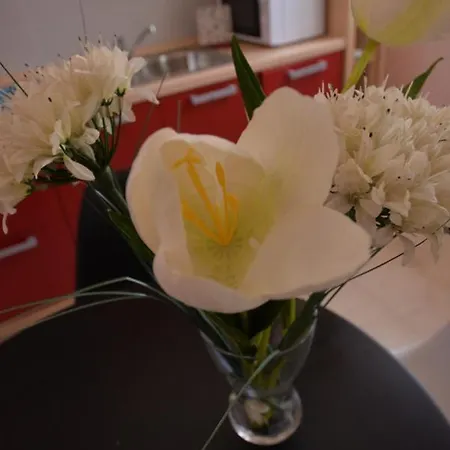 Apartament Flora Maisonette 2